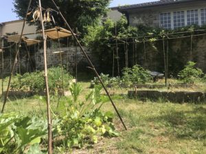 Le potager en permaculture