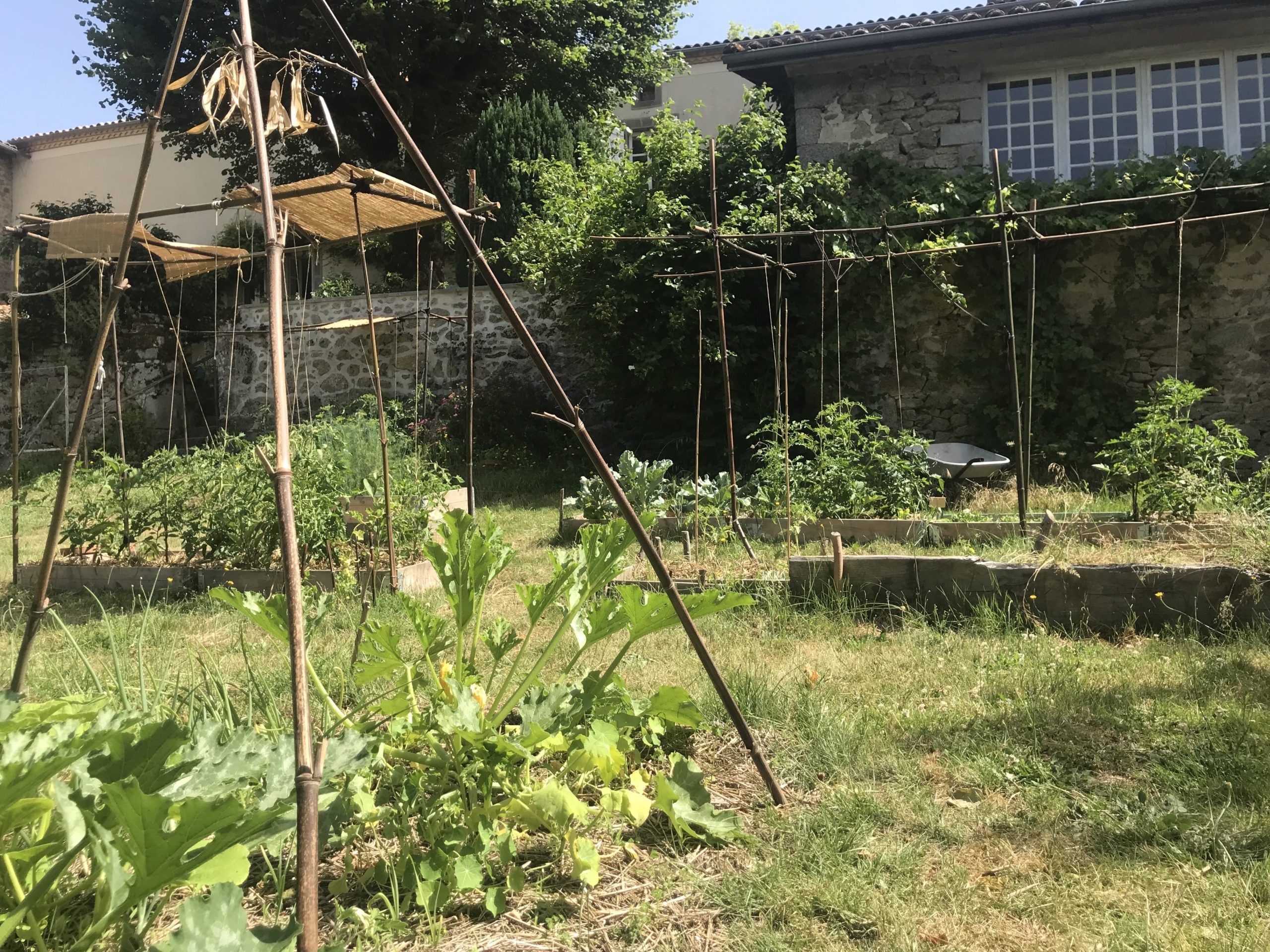 Le potager en permaculture